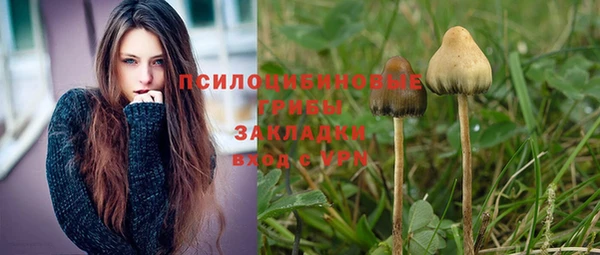 MESCALINE Дмитриев
