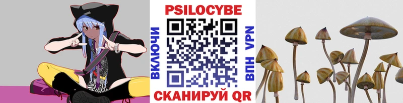 хочу наркоту  Искитим  Галлюциногенные грибы мицелий 